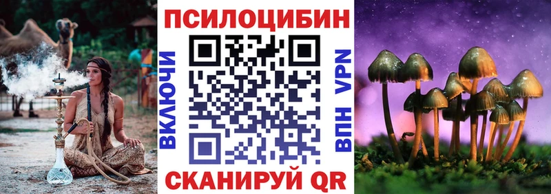 сколько стоит  mega как войти  Псилоцибиновые грибы Psilocybe  Бутурлиновка 